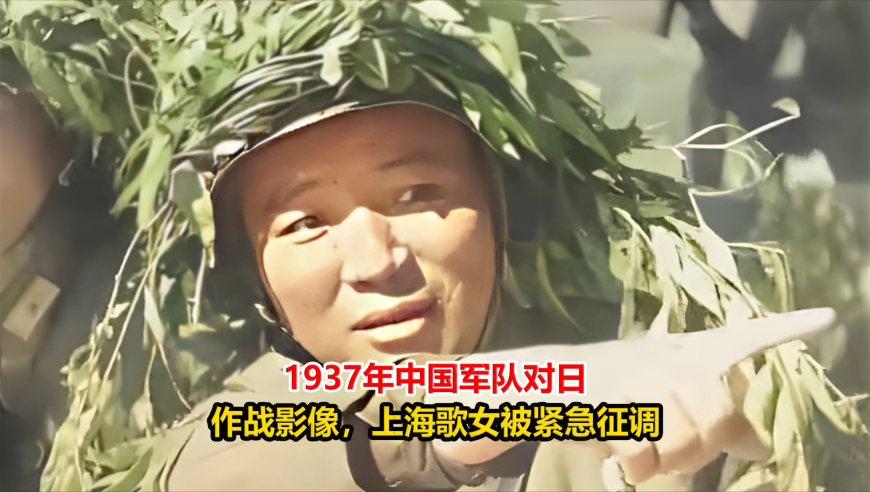 澳门正版资料正版免费大全,乌克兰不再被邀请加入北约,精准解释落实的人生哲理_精简版V13.56