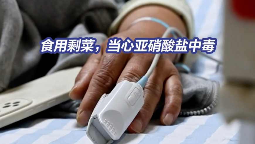 新澳门今晚出什么号码,当石矶娘娘遇上鸵鸟,准确资料解释落实_社交版V9.11
